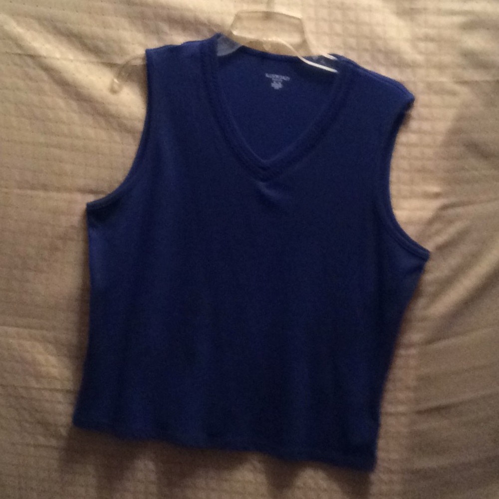 Allison Daley Blue V-Neck Top